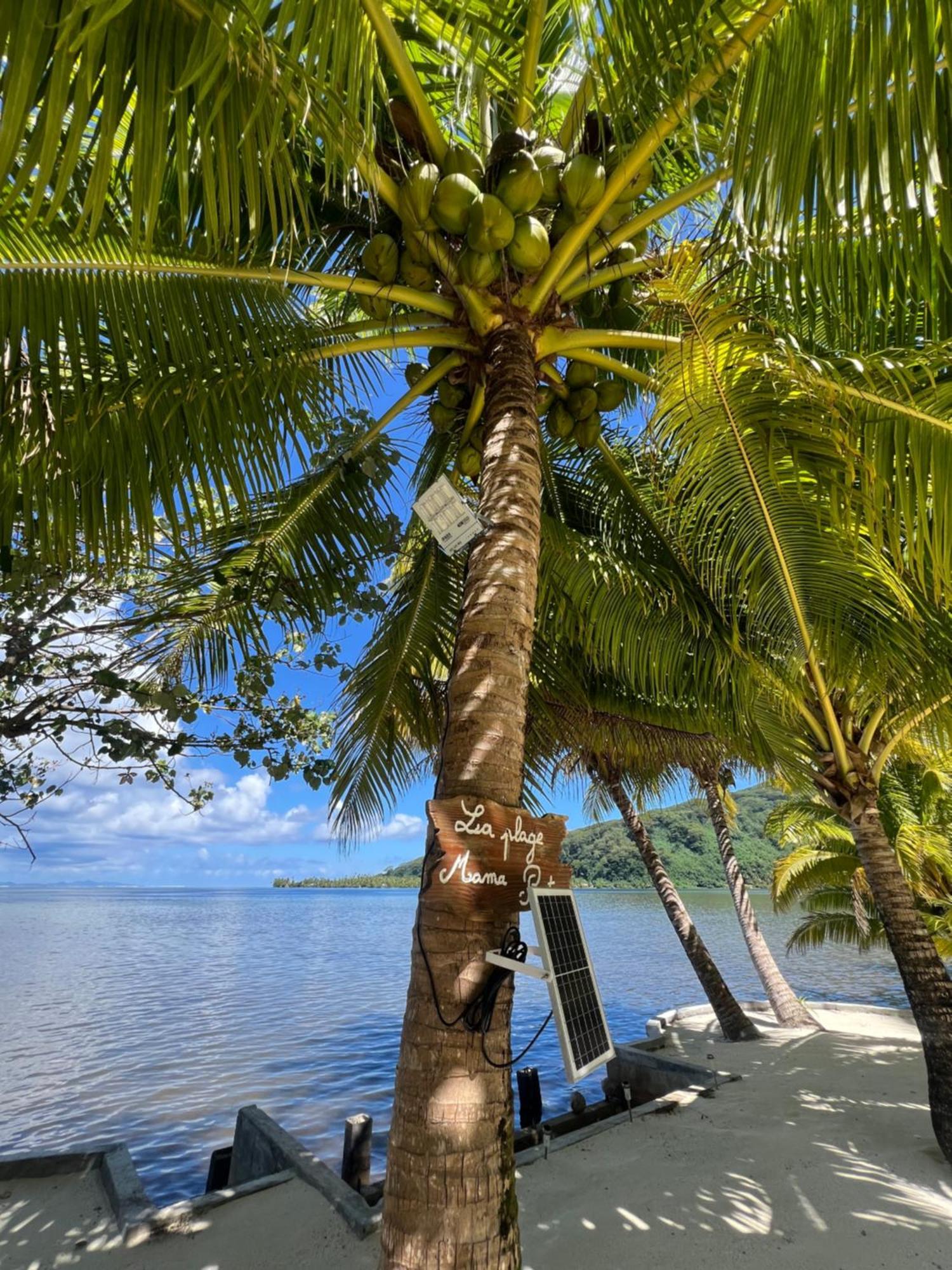 Villa Fare Mama Rota - Au Bord De L'Ocean à Taputapuapea Extérieur photo